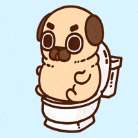 GIF by Puglie Pug