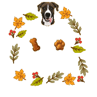 Dog Food Sticker by Snacks Homemade Treats