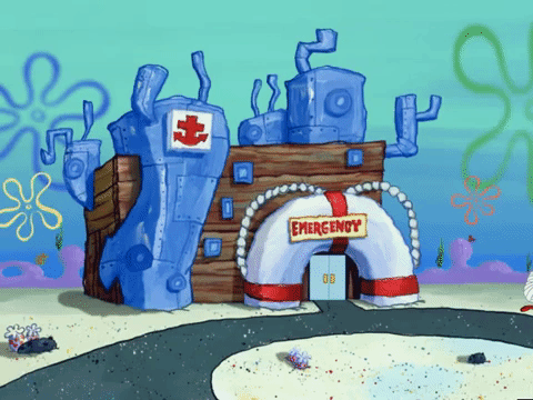 Season 6 GIF by SpongeBob SquarePants