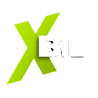 xbilsuomi x xteam xtiimi xbil Sticker