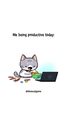 Me being productive today