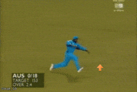 cricket let GIF