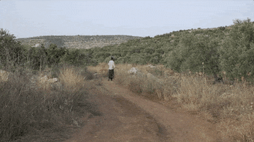 tiff yikes toronto international film festival tiff19 tiff 2019 GIF