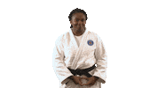 France Sport Sticker by Paris Saint-Germain Judo