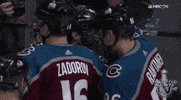 ice hockey hug GIF by NHL