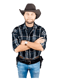 websheriff what look here hat Sticker