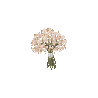 tmodernbride flowers wedding plant bride Sticker