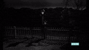 GIF by Turner Classic Movies