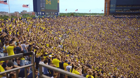 Go Blue Michigan Football GIF by University of Michigan
