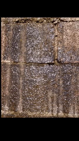 Simongip giphygifmaker GIF