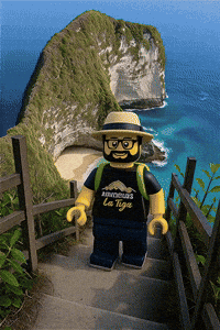Oh No Omg GIF