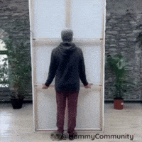 Picture Reveal GIF by Sad Hamster