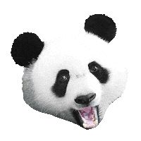 Happy Foodie Sticker by Panda