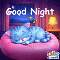 Good Night Cat GIF by Lucas and Friends by RV AppStudios