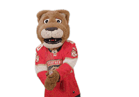 Happy Ice Hockey Sticker by NHL