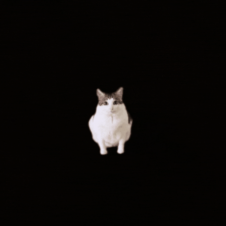 Mitosis Bao Bao GIF
