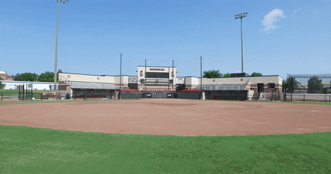 Softball GIF by SIUSalukis