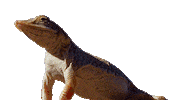 Planet Earth Hello Sticker by BBC America