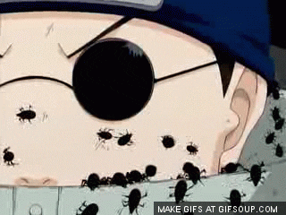 insects GIF