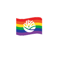 Rainbow Flag Sticker by PACT Hawaii