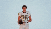 Georgia Tech Football Sport GIF by Georgia Tech Yellow Jackets