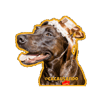 Dog Sticker