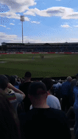 Streaker Leads Security on Wild Goose Chase at Cricket World Cup