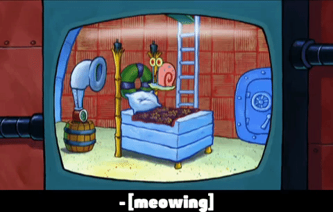 season 6 episode 23 GIF by SpongeBob SquarePants