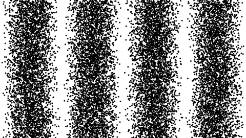 freedomkane giphyupload GIF