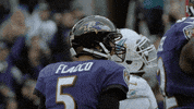 Happy National Football League GIF by Baltimore Ravens