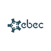 elifnrcaliskan best engineering ebec ebec final 2022 Sticker
