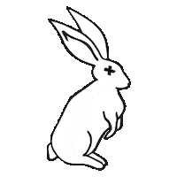 Ypomusic Sticker by You Plus One