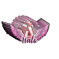Cheer Wings Sticker by AirbornAllstars