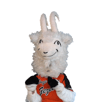 RenataJansenFotografie goat og geit onze gezellen Sticker