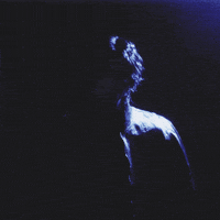 Lover GIF