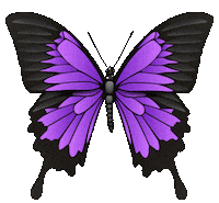 Butterfly Wings Sticker