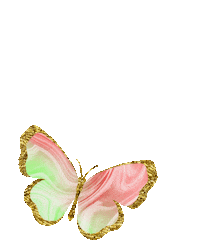 Butterfly Sticker