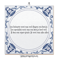 Genie Wijsheid Sticker by Tegelspreuken.nl