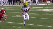 Go Blue Michigan Football GIF by Michigan Athletics