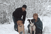 photography dogs GIF