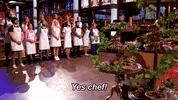 Reality Cooking GIF by Masterchef