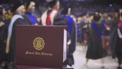 missouristate GIF by Missouri State University