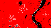 animation creatures GIF by Zach Cohen