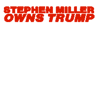 Donald Trump Sticker by Creative Courage