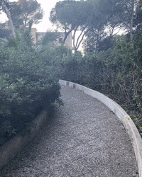 No Way Running GIF