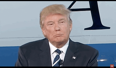 bowling green massacre GIF