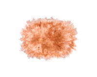 Women Shampoo Sticker by Unilever Turkiye