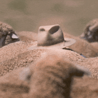 charlize theron film GIF by A Million Ways To Die In The West