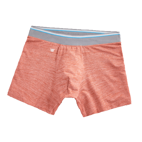 MackWeldonSocial giphyupload wfh work from home comfort Sticker