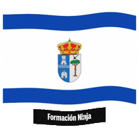 Castilla Y Leon Flag Sticker by Formación Ninja